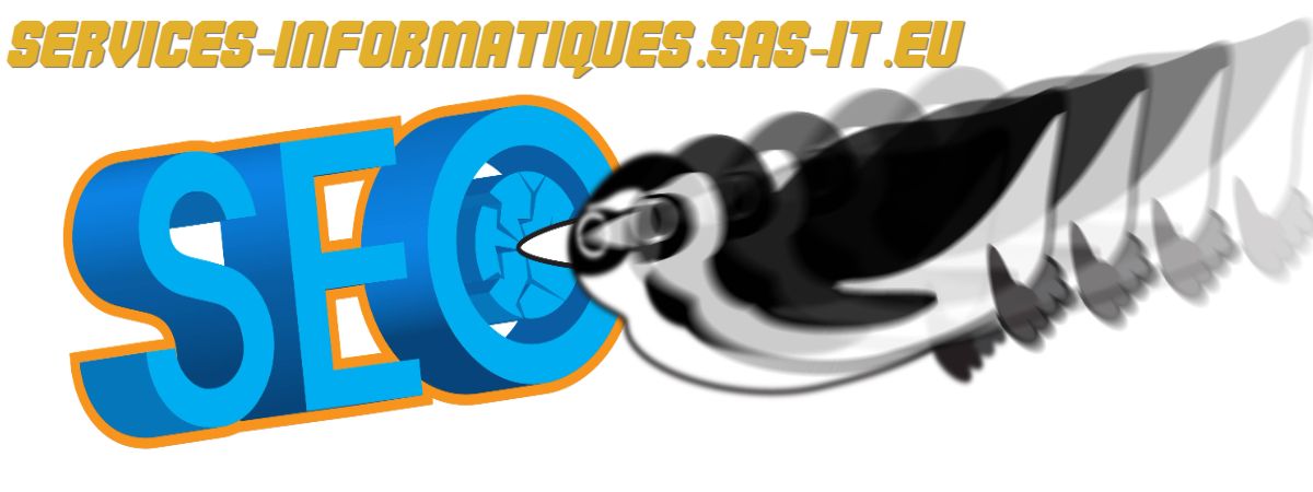 services-informatiques.sas-it.eu